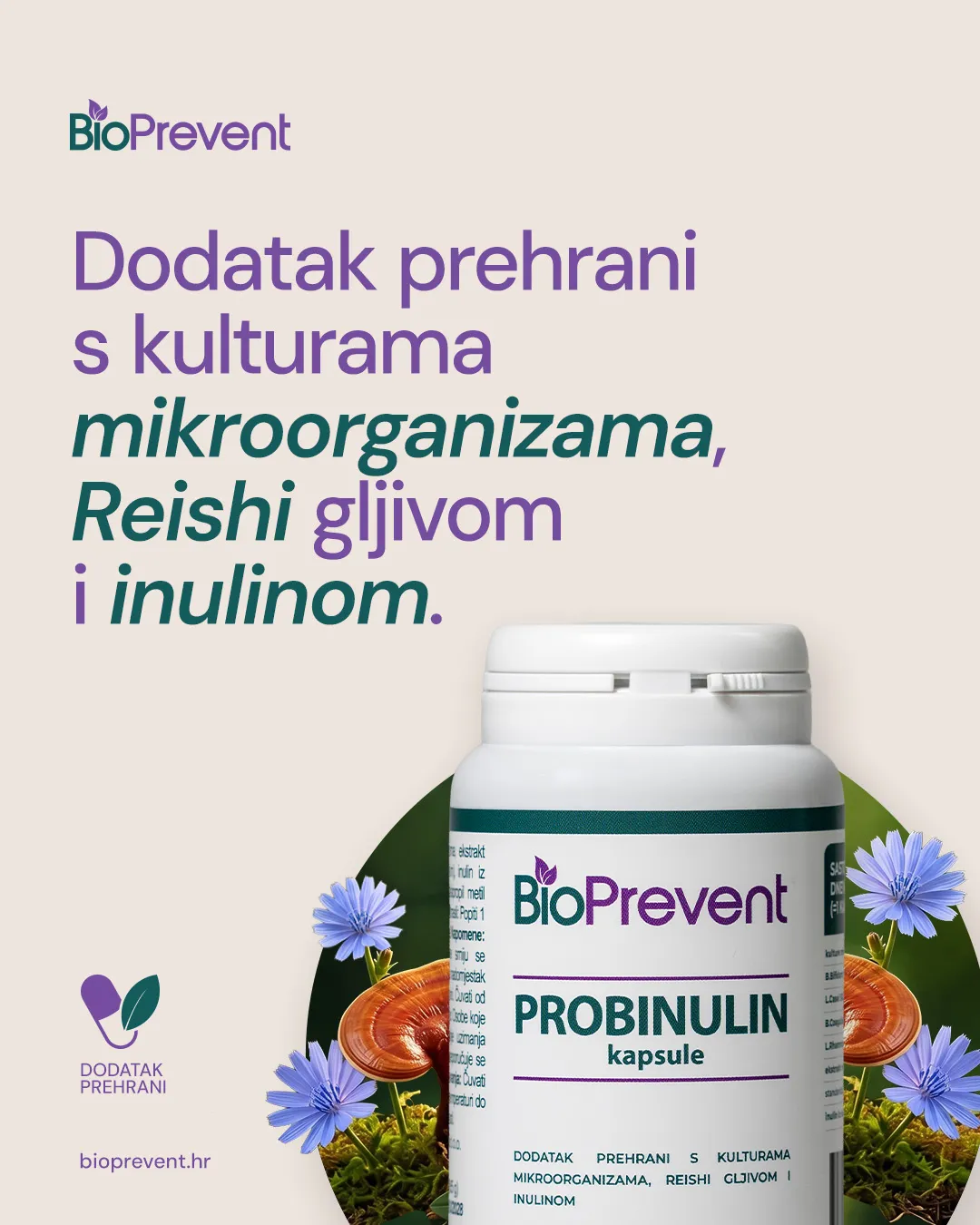 Dodatak prehrani s kulturama mikroorganizama, Reishi gljivom i inulinom