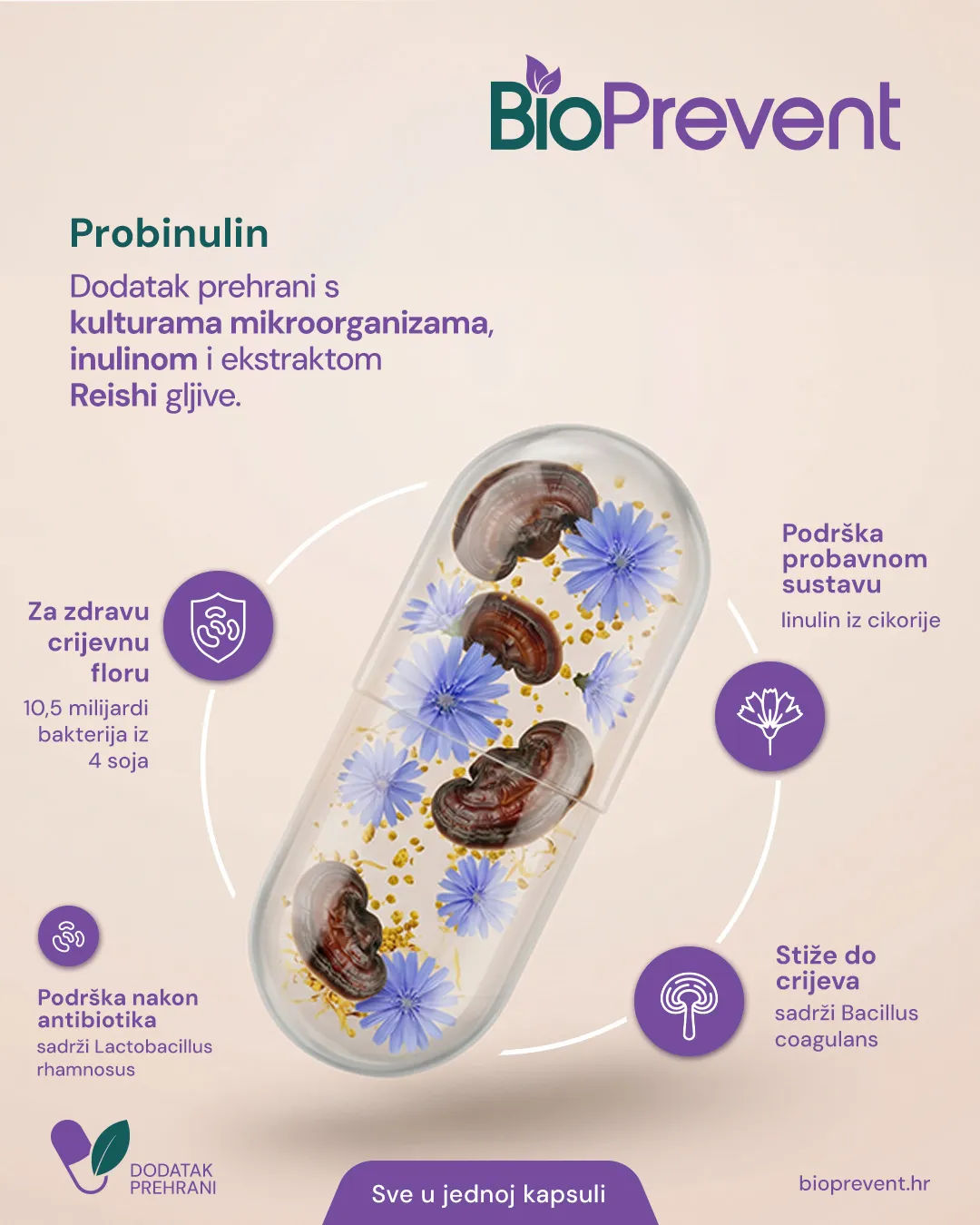Probinulin: dodatak prehrani s kulturama mikroorganizama, inulinom i ekstraktom Reishi gljive, u jednoj kapsuli