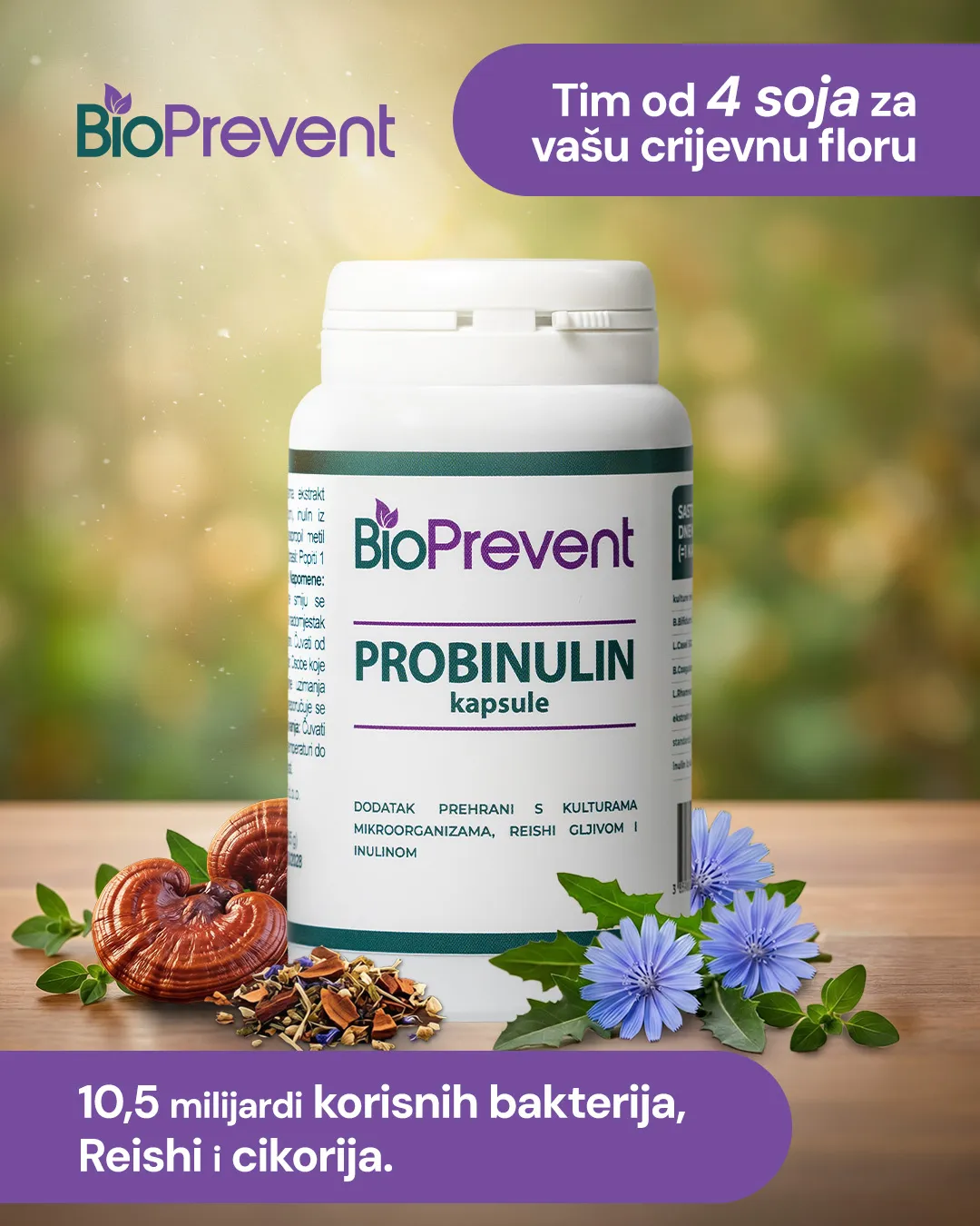 Bočica Probinulina uz Reishi gljivu i cvjetove cikorije: Tim od 4 soja za vašu crijevnu floru