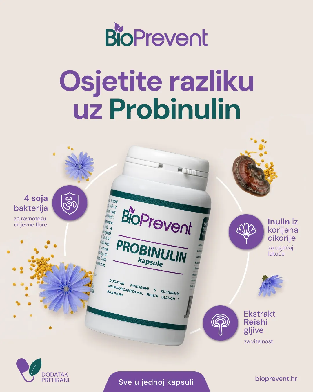 Osjetite razliku uz Probinulin: 4 soja bakterija, inulin iz korijena cikorije, ekstrakt Reishi gljive